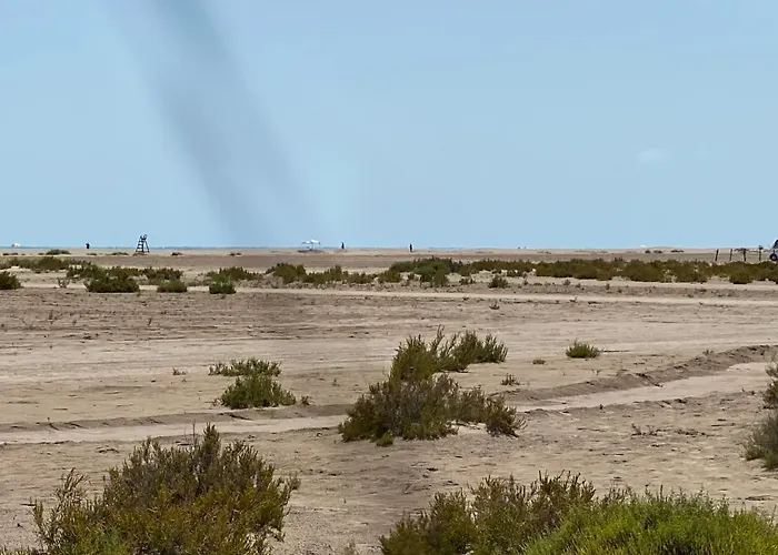 La Calma Del Delta *