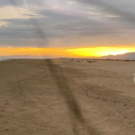 La Calma Del Delta L'Eucaliptus