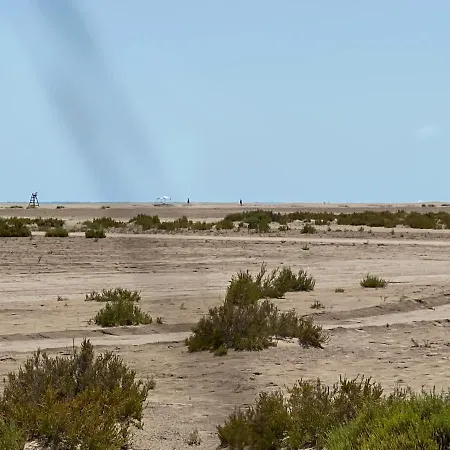 La Calma Del Delta *
