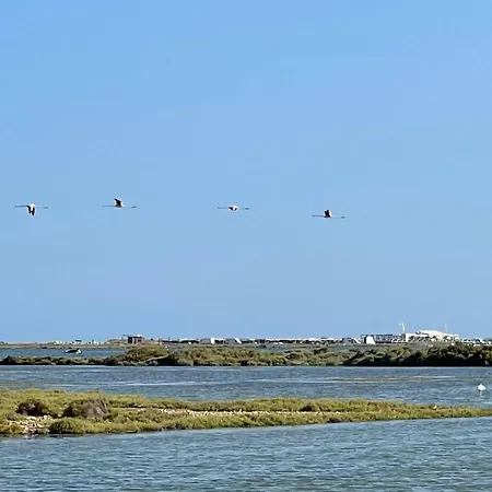 Tatil Evi La Calma Del Delta