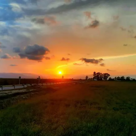 Tatil Evi La Calma Del Delta *