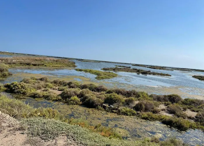 La Calma Del Delta Tatil Evi *