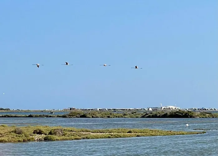 Tatil Evi La Calma Del Delta